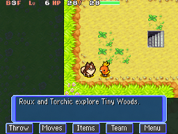 Roux exploring Tiny Woods with Torchic as his companion.